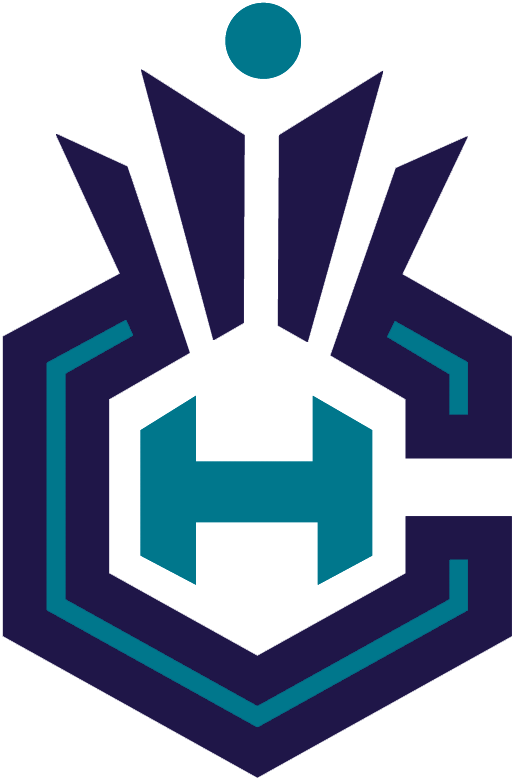 Charlotte Hornets 2014-Pres Alternate Logo iron on transfers for clothing version 5